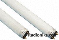 T8 colour matching fluorescent tube,18W (1 Pack of 10)