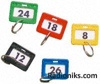 Assorted Colour Key Tags (1 Pack of 100)