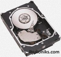 Seagate Cheetah SCSI LW, 15K rpm, 300GB