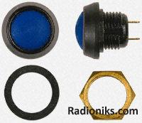 Blue plastic bodied pushbutton switch