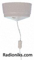 White 2 way ceiling mount pull switch,6A