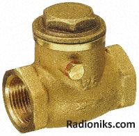 Brass swing check valve,2in BSP F