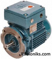 2 pole flange mount motor,0.75kW