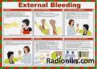 External Bleeding poster