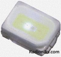 Topview White SMD LED,1450mcd,120deg