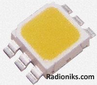 CLN6A LED Warm White 5x5mm 115deg 85.6lm