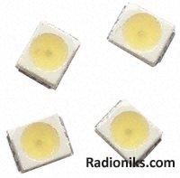 LED Uni-Color 0.5W White SMD PLCC4