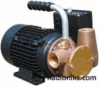 Impeller Utility pump, 33 lpm, 110 V